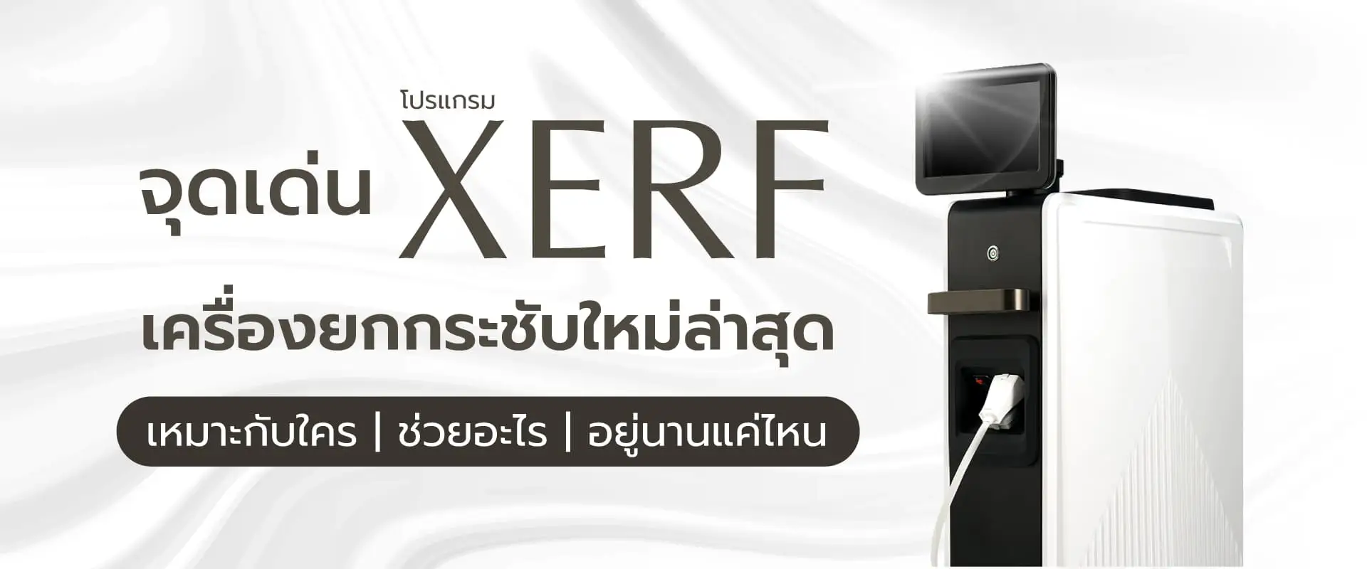 Banner Vivace คืออะไร